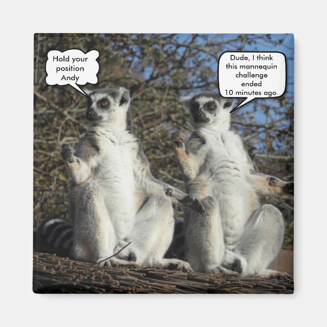Imán Mannequin Challenged Lemurs (Frente)