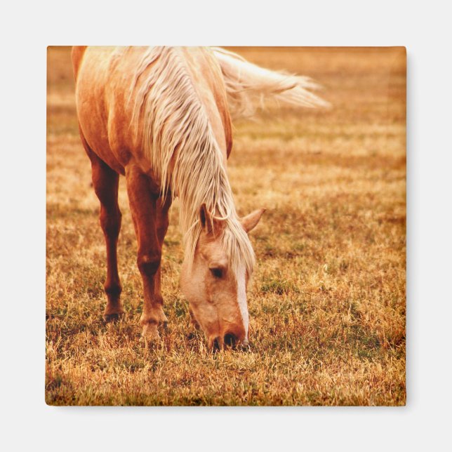 Imán Mano de caballo (Frente)