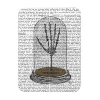 Mano De Esqueleto En Bell Jar 2