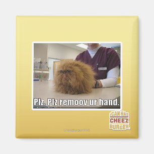 Imán Mano del ur del remoov del PLZ
