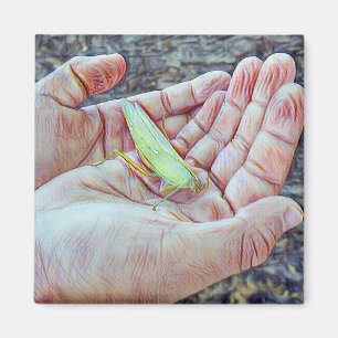 Imán Manos apacibles