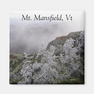 Imán Mansfield, Vt