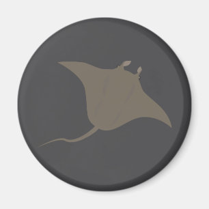 Imán Manta