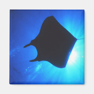 Imán Manta Ray Silhouette