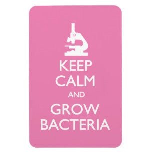 Imán Mantener la calma en las bacterias