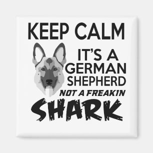 Imán Manténganse tranquilos, es un pastor alemán, no un