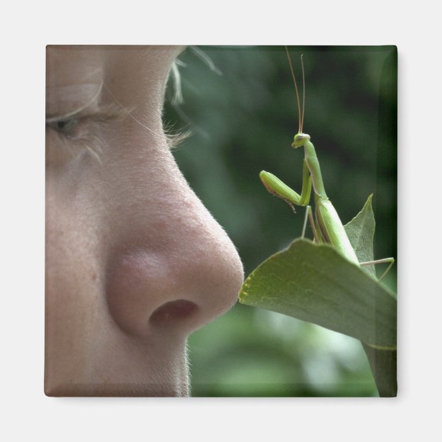 Imán Mantis religiosa (Frente)