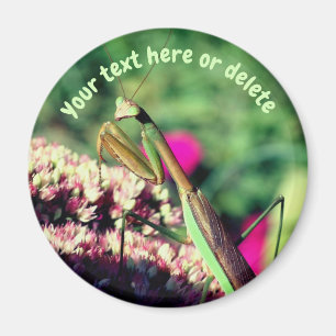 Imán Mantis Religiosa Personalizada