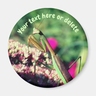Imán Mantis Religiosa Personalizada