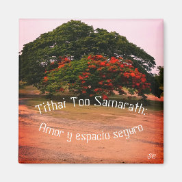 Imán Mantras