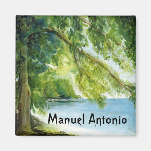 Imán Manuel Antonio