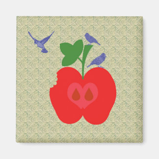 Imán manzana de API