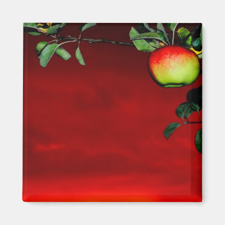 Imán Manzana de paraíso