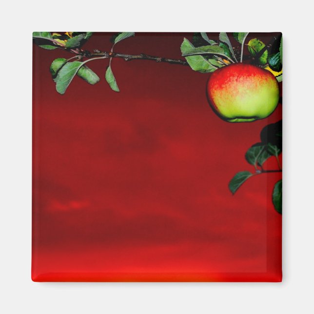 Imán Manzana de paraíso (Frente)
