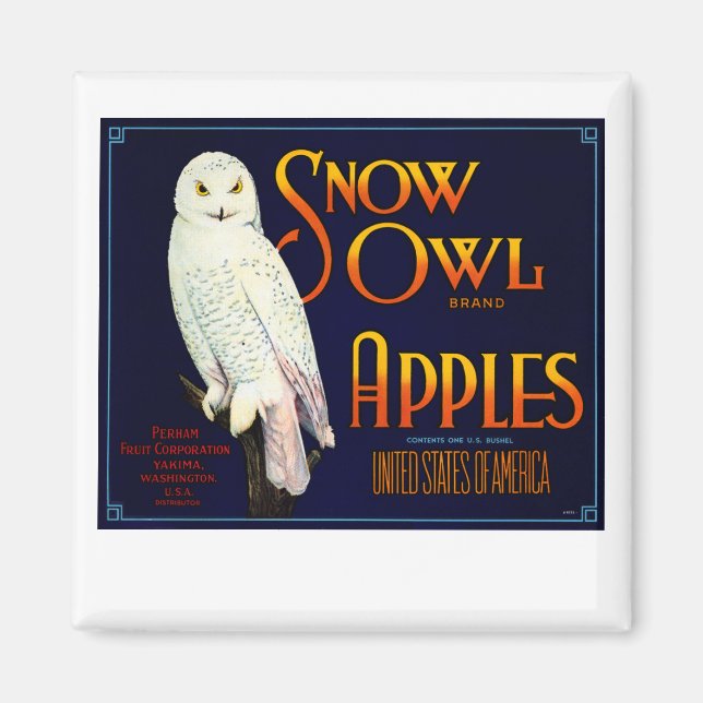 Imán Manzanas de búho de nieve (Frente)