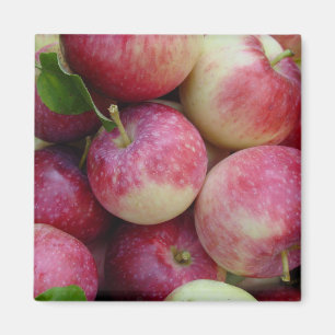 Imán Manzanas de la nieve
