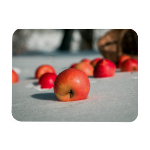 Imán Manzanas en la nieve