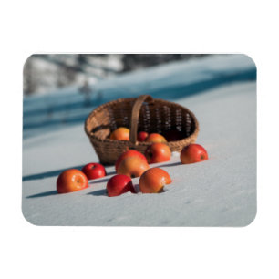 Imán Manzanas en la nieve