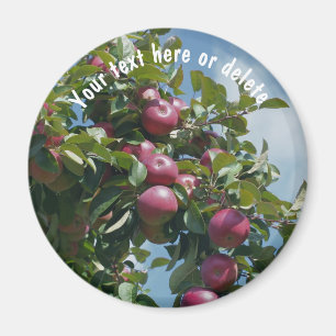 Imán Manzanas rojas en la naturaleza del árbol personal