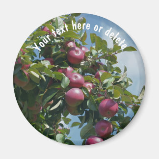 Imán Manzanas rojas en la naturaleza del árbol personal