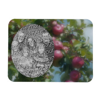 Imán Manzanas rojas en pintura de árbol Añadir tu foto