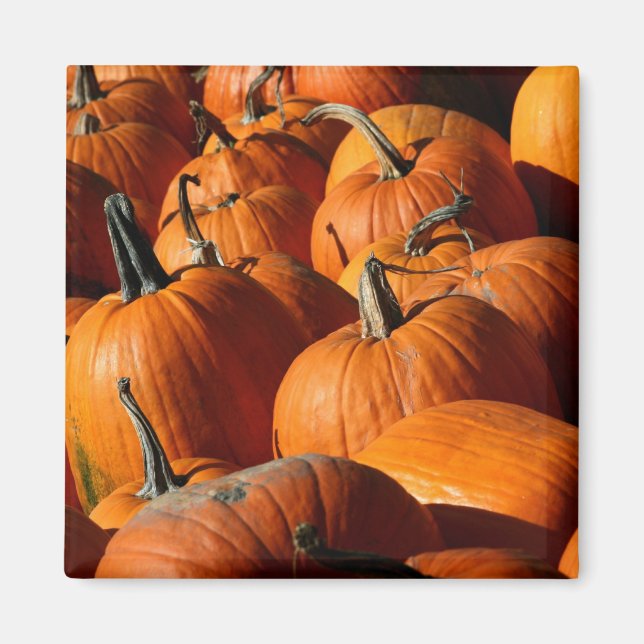 Imán Mapa de calabazas (Frente)