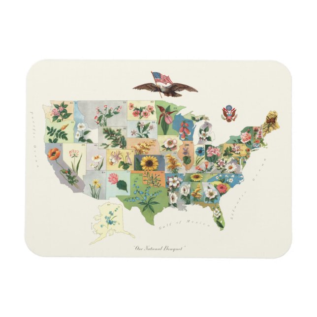Imán Mapa de Flores de Estados Unidos - Nuestro Bouquet (Horizontal)