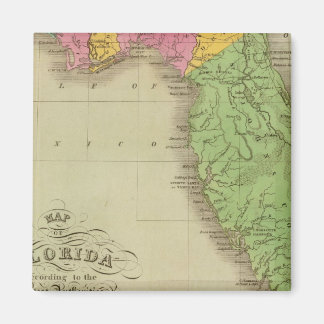 Imán Mapa de Florida