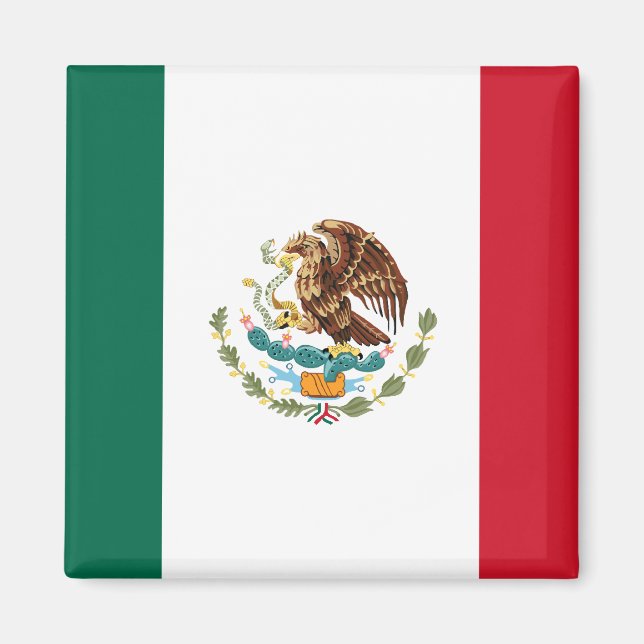 Imán Mapa de la bandera de México 2 (Frente)