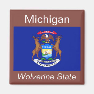 Imán Mapa de la bandera de Michigan