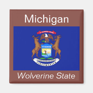 Imán Mapa de la bandera de Michigan