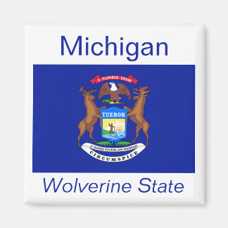 Imán Mapa de la bandera de Michigan