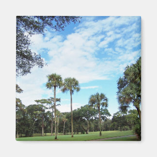 Imán Mapa de la Isla de Kiawah