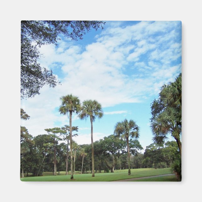 Imán Mapa de la Isla de Kiawah (Frente)