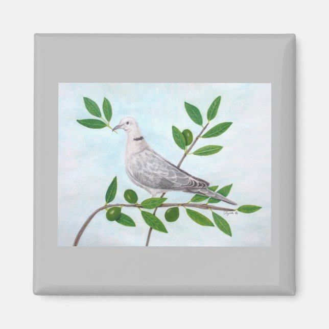 Imán Mapa de la Paz (Frente)