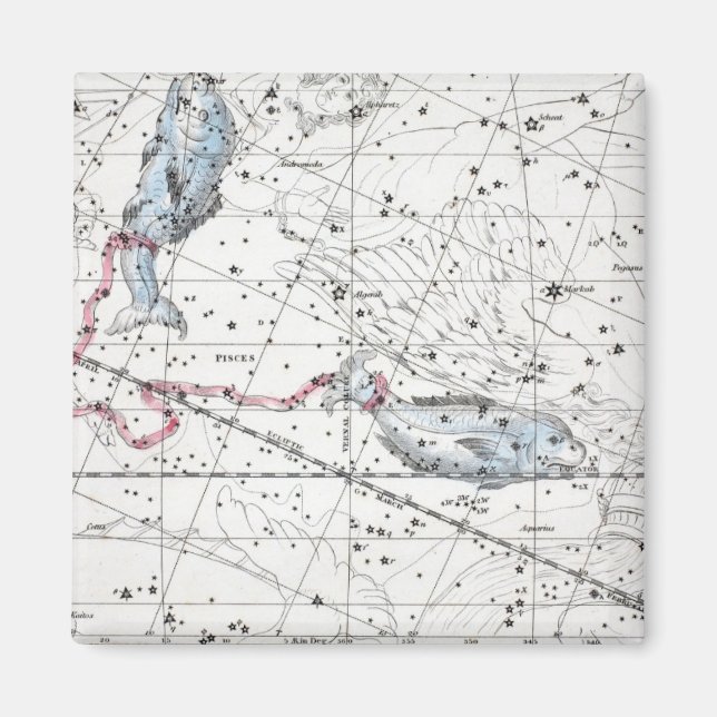 Imán Mapa de la placa de constelaciones XXII (Frente)