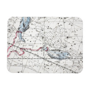 Imán Mapa de la placa XXII de las constelaciones