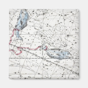 Imán Mapa de la placa XXII de las constelaciones