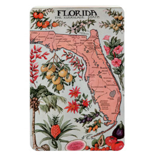Imán Mapa de la vieja Florida
