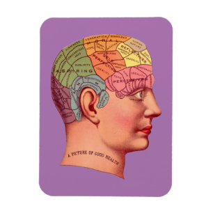 Imán Mapa del cerebro de la mente de la cabeza de la fe