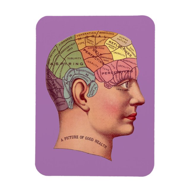 Imán Mapa del cerebro de la mente de la cabeza de la fe (Vertical)