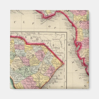 Imán Mapa Del Condado De Florida