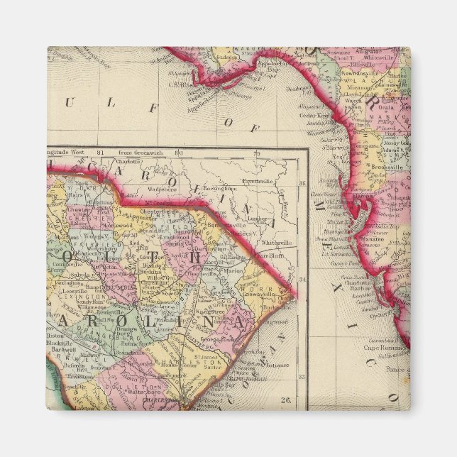 Imán Mapa Del Condado De Florida (Frente)