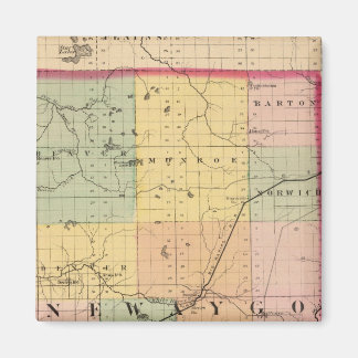 Imán Mapa del condado de Newaygo, Michigan