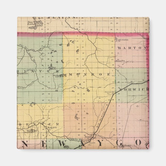 Imán Mapa del condado de Newaygo, Michigan (Frente)