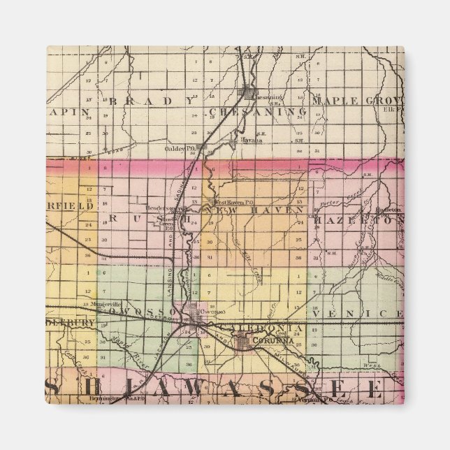 Imán Mapa del condado de Shiawassee, Michigan (Frente)