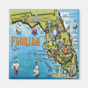 Imán Mapa del dibujo animado de la Florida