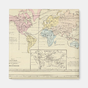 Imán Mapa en color del mundo