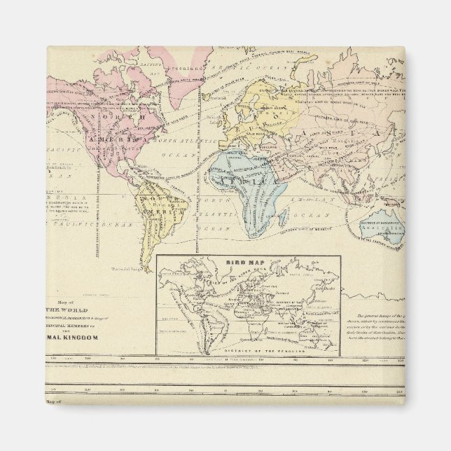 Imán Mapa en color del mundo (Frente)