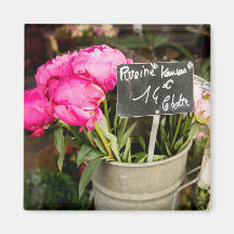 Mapa fotográfico de las flores rosadas de París